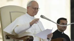 Pope Leo XIV addresses pilgrims gathered in St. Peter’s Square for his general audience on Wednesday, June 4, 2025. / Credit: Vatican Media