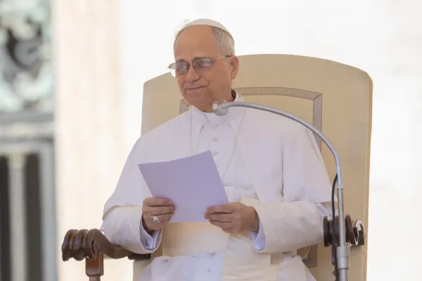 Pope Leo XIV: Before Being Believers, We are Called to Be Human