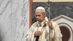 Pope Leo XIV prays during a Mass at Sant’Anselmo Church, located at a Benedictine monastery on the Aventine Hill in Rome, on Nov. 11, 2025. / Credit: Vatican Media
