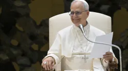 Pope Leo XIV smiles during his Wednesday general audience on Aug. 13, 2025, in the Paul VI Audience Hall at the Vatican. / Credit: Vatican Media