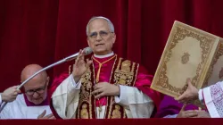 Pope Leo XIV waves to pilgrims in St. Pete’s Square shortly after his election on Thursday, May 8, 2025. / Credit: Daniel Ibáñez/CNA