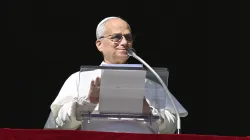 Pope Leo XIV addresses pilgrims gathered in St. Peter’s Square for his Sunday Angelus on Nov. 9, 2025, at the Vatican. / Credit: Vatican Media