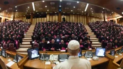 Pope Leo XIV meets with bishops on Sept. 11, 2025, at the Vatican. / Credit: Vatican Media