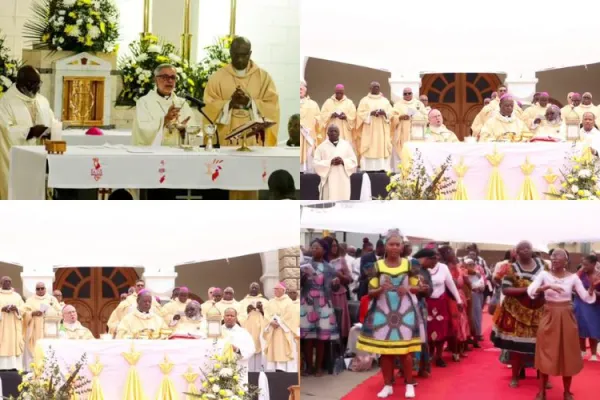 IMBISA’s Golden Jubilee to Reinforce Synodality at the Grassroots: Catholic Bishop in Eswatini