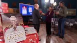 “Leo XIV: Portrait of the First American Pope,” written by Matthew Bunson, vice president and editorial director at EWTN News. / Credit: Daniel Ibáñez/CNA