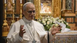Pope Leo XIV speaks in front of the famous icon at the Shrine of the Mother of Good Counsel in Genazzano, Italy, on Saturday, May 10, 2025. / Credit: Vatican Media