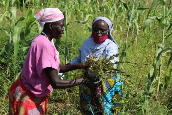 Nuns Partner with Aid Agencies to Facilitate Food Production for Needy in South Sudan