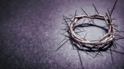 Sumandaq / Shutterstock