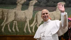 Pope Leo XIV waves to those gathered at the Pontifical Lateran University in Rome on Nov. 14, 2025. / Credit: Vatican Media