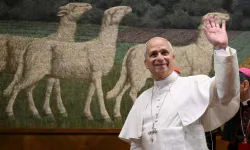 Pope Leo XIV waves to those gathered at the Pontifical Lateran University in Rome on Nov. 14, 2025. / Credit: Vatican Media