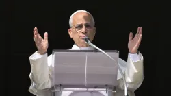 Pope Leo XIV leads the faithful in St. Peter’s Square at the Vatican in reciting the Angelus on Nov. 2, 2025. / Credit: Vatican Media