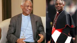 The Chancellor of the Pontifical Academy of Sciences and Social Sciences, Peter Kodwo Appiah Cardinal Turkson.