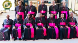 Members of the Zambia Catholic Bishops Conference (ZCCB). Credit: ZCCB Facebook Page